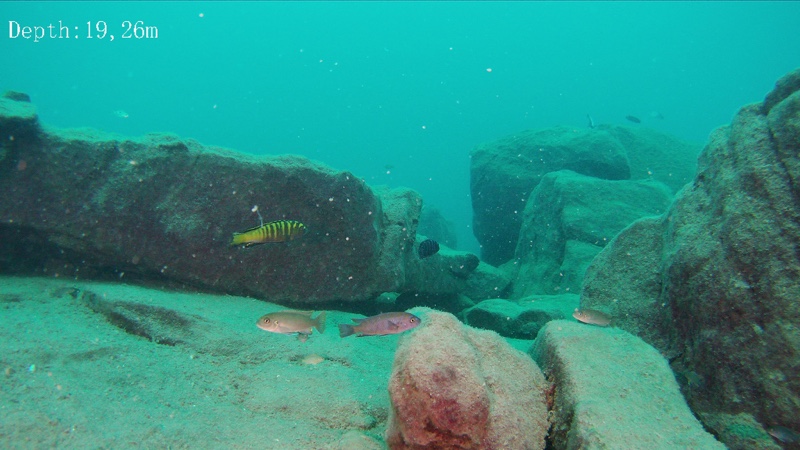 Chinyankwazi Island 11
